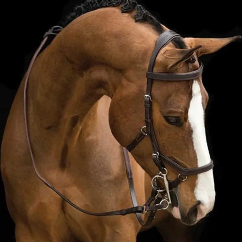 Rambo Micklem Comp Bridle With Reins - Dark Havana 